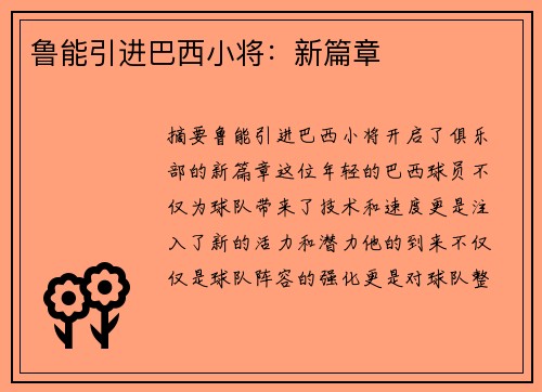 鲁能引进巴西小将：新篇章